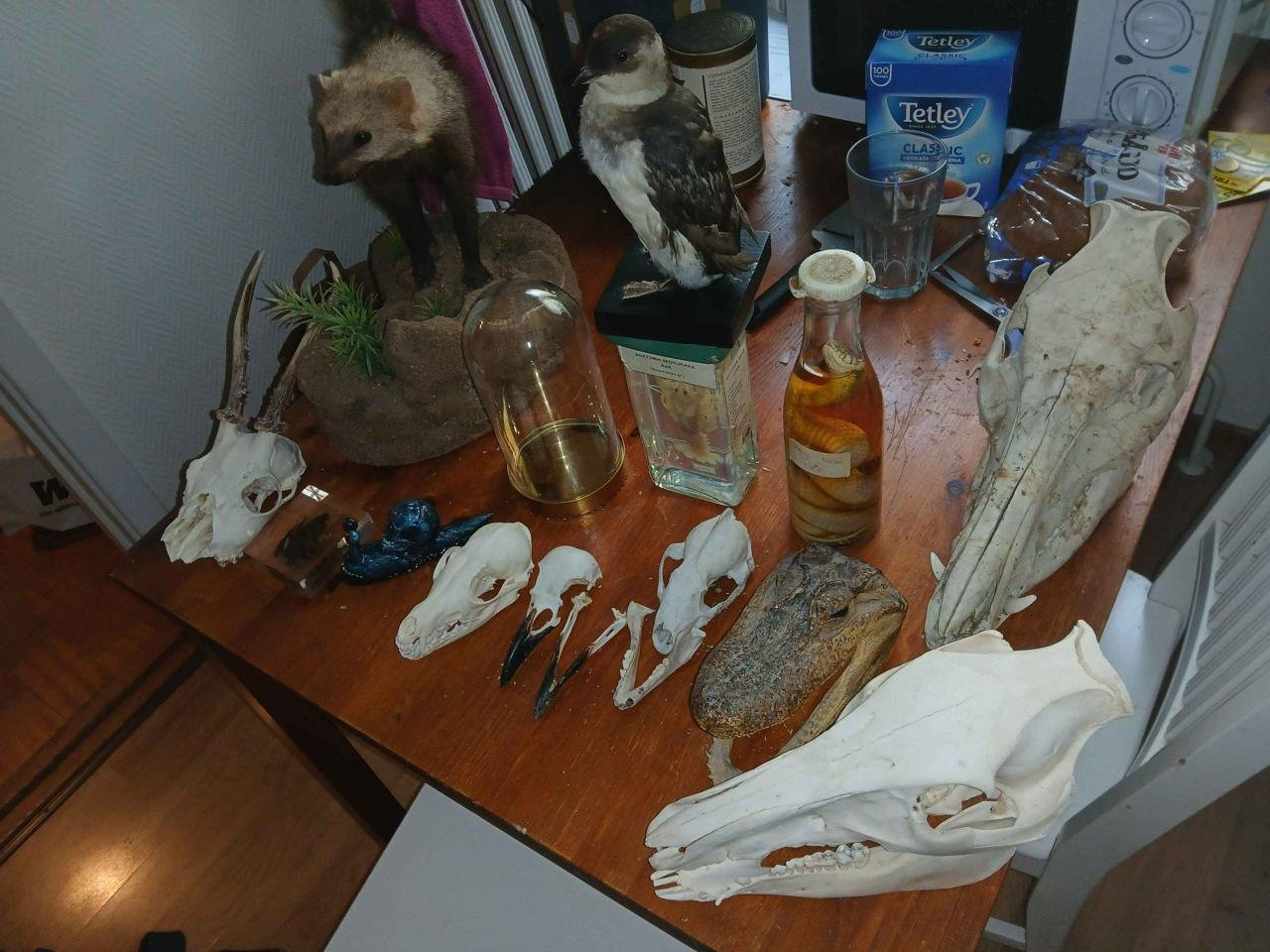 Mindre samling med konstiga p...