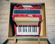 Dragspel - Hagström Walter Special