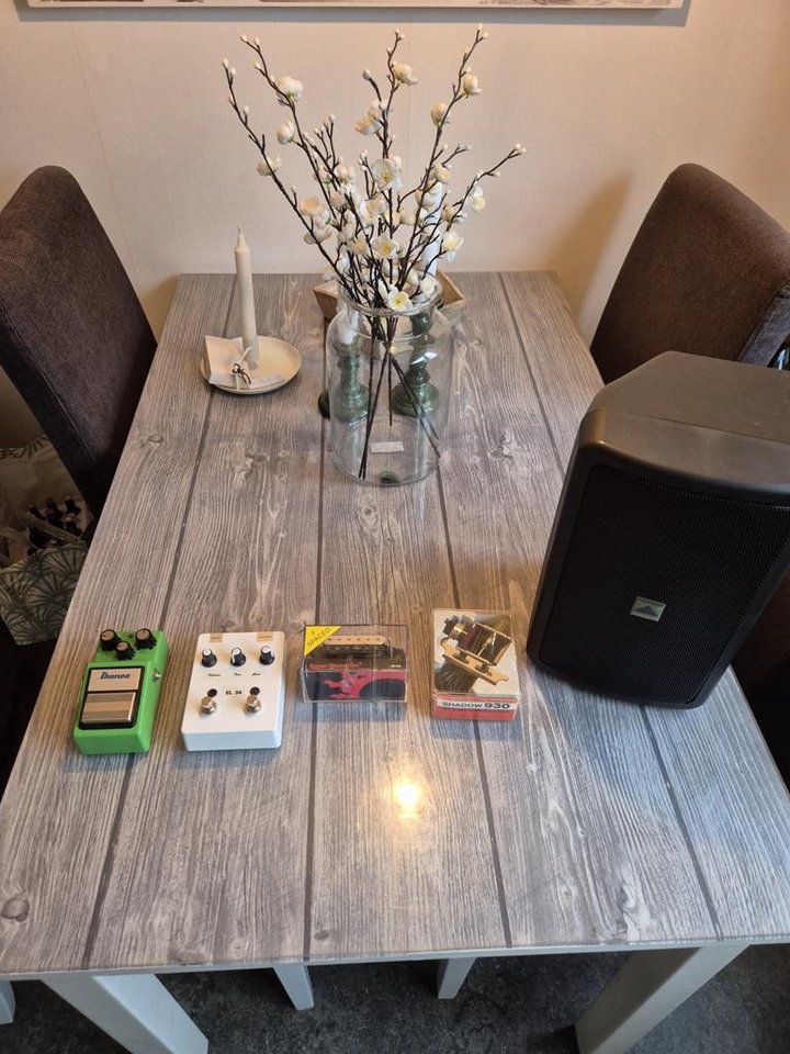 pedaler,dimarzio,alto,tc helicon