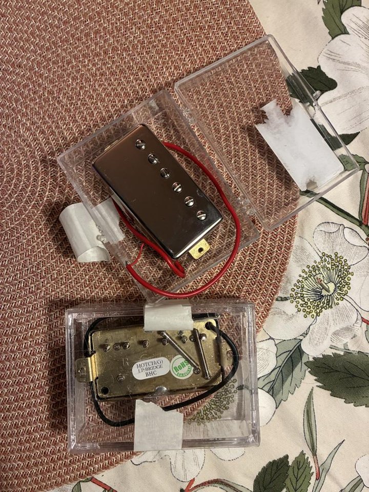 Epiphone Humbuckers
