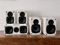 Tangent EVO 5.1 surround. 