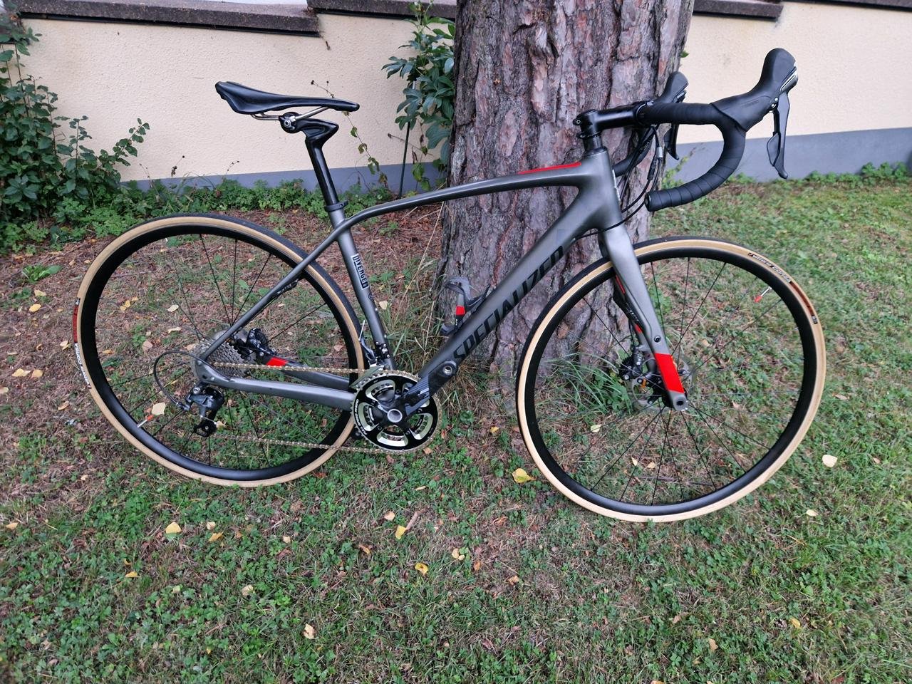 Specialized Diverge Expert