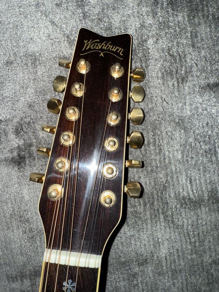 12 strängad gitarr Washburn
