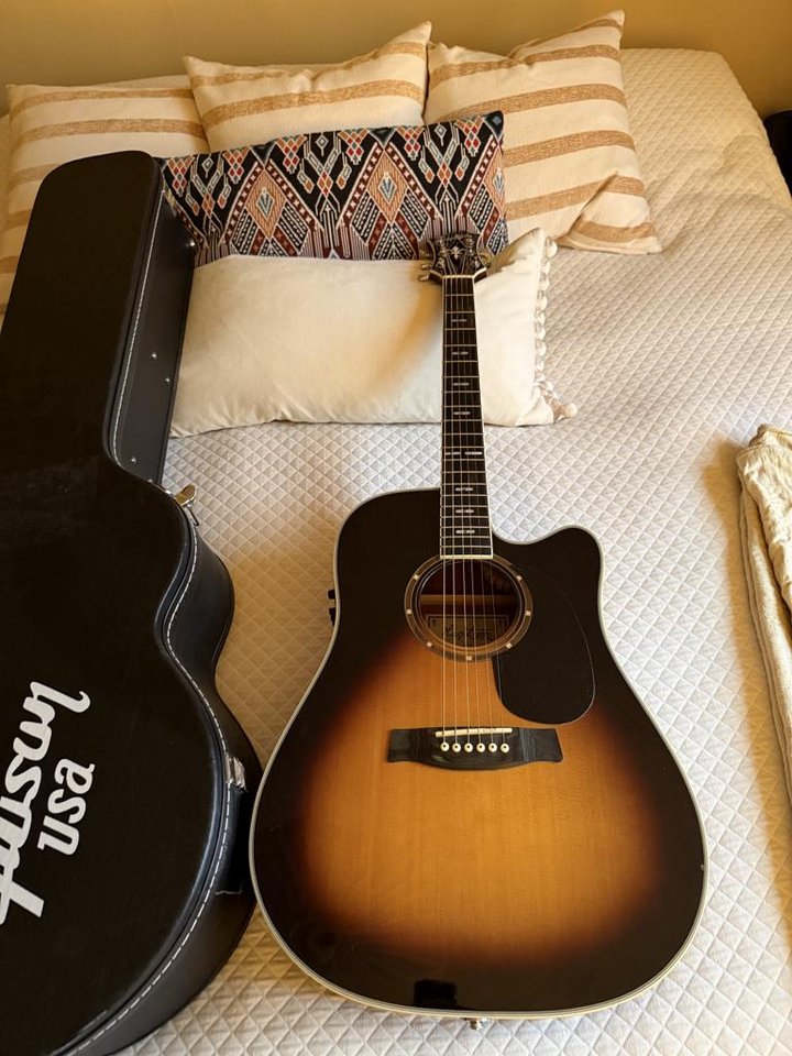 Hagström Siljan Stålsträngad