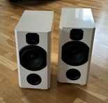Aino Audio piP