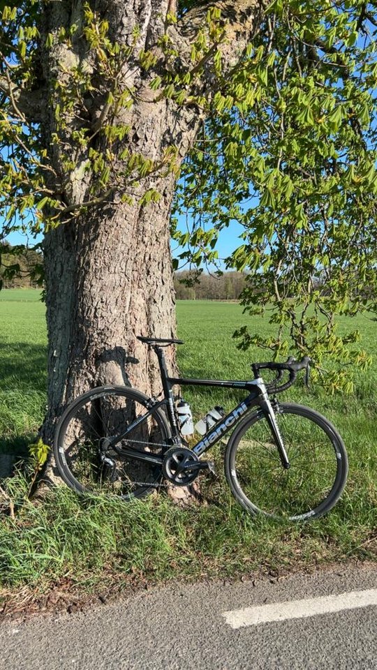 Bianchi Aria Ultegra 53