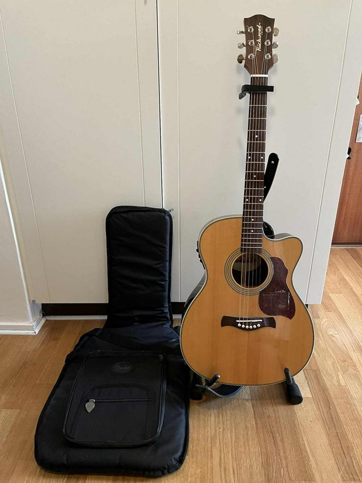 Stålsträngad gitarr - Richwoo...