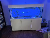 saltvattensakvarie 930 liter plus sump 
