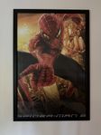 Spiderman tavla