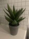 1st Aloe Vera konstväxt, 30cm