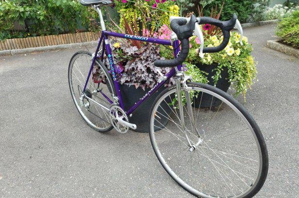 COLNAGO - COLUMBUS CROMOR (Lila)