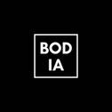 Bodia AB logotyp