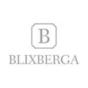 Blixberga logotyp