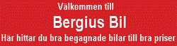 Bergius Bil logo