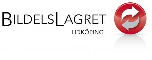Profilbild för Bildelslagret i Lidköping AB
