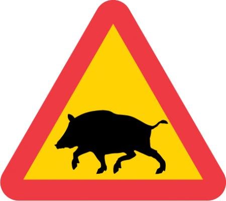 Profilbild för Skånejakt