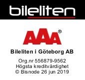Bileliten i Göteborg AB logo