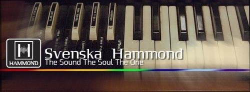 Profilbild för Svenska Hammond