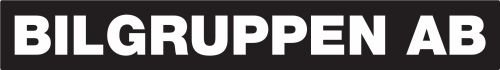 BilGruppen I Lycksele AB logo