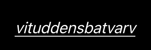 Vituddens Båtvarv AB logo