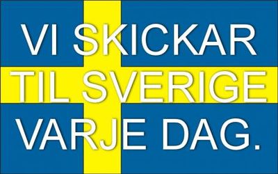 Omslagsbild för DÆKIMPORTEN