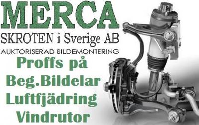 Omslagsbild för Mercaskroten AB