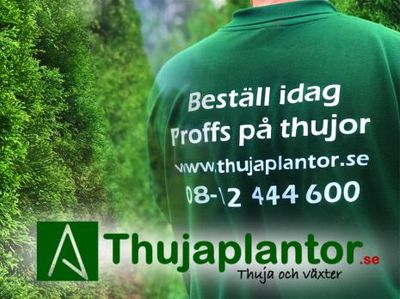 Thujaplantor.se