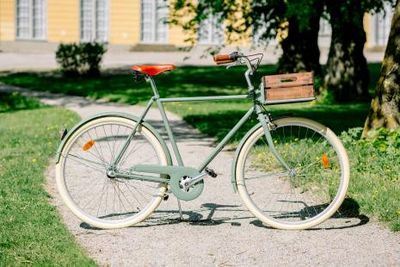 Omslagsbild för Stålhästen