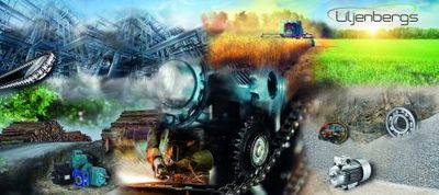 Omslagsbild för Liljenbergs AB