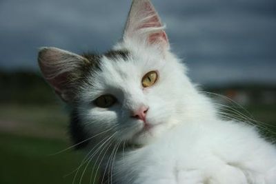 Omslagsbild för Länsstyrelsen i Västra Götaland