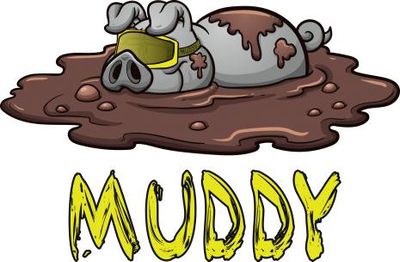 Muddy