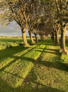 Omslagsbild för Ormastorps gård