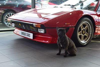 Omslagsbild för Unique Cars AB Biltillbehör