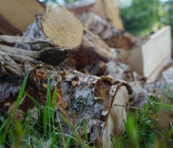 Omslagsbild för VedKaninen