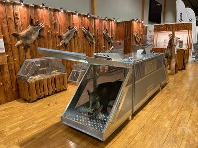 Omslagsbild för Lotin fällor