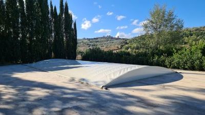 Omslagsbild för Zabra