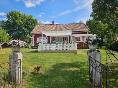 Omslagsbild för Glada Hundar