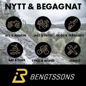 Bengtssons